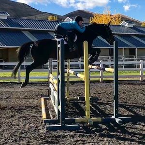 Meet your Posher, Shelby